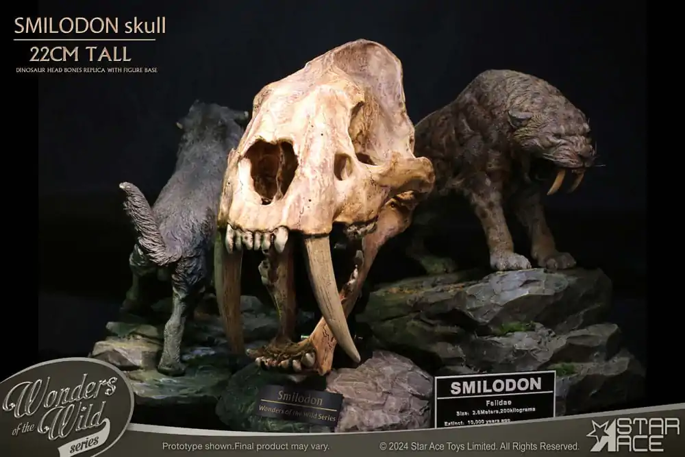 Wonders of the Wild Series Statue Smilodon Skull Fosilní soška 22 cm fotografii produktu