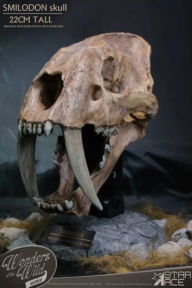 Wonders of the Wild Series Statue Smilodon Skull Fosilní soška 22 cm fotografii produktu