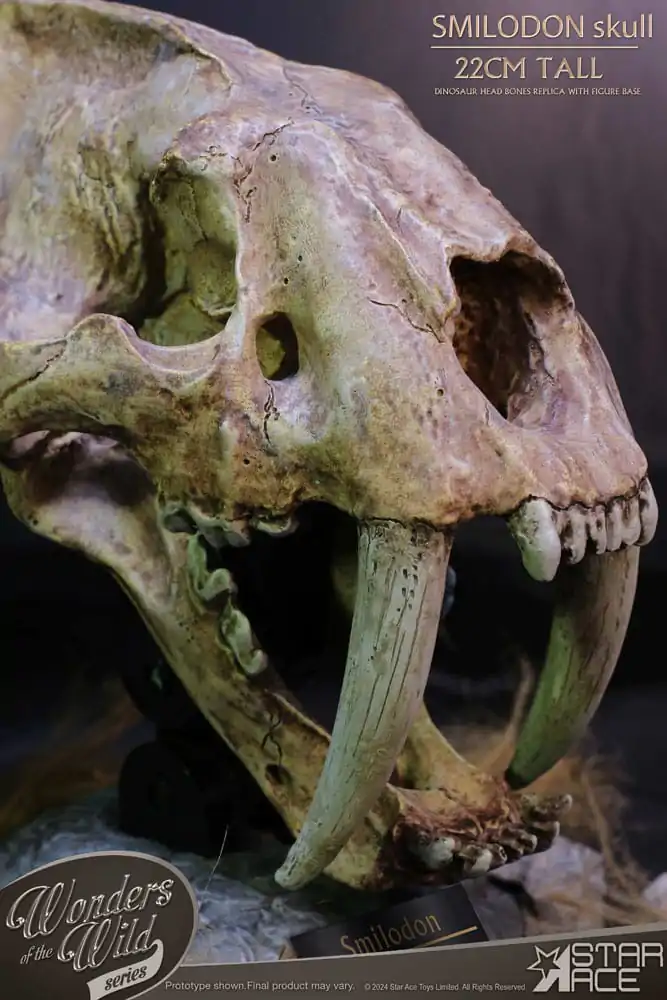 Wonders of the Wild Series Statue Smilodon Skull Fosilní soška 22 cm fotografii produktu