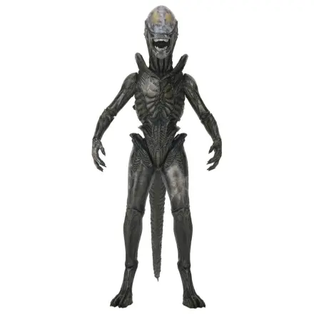 Alien: Earth Ultimate akční figurka Wendy's Xenomorph 18 cm fotografii produktu