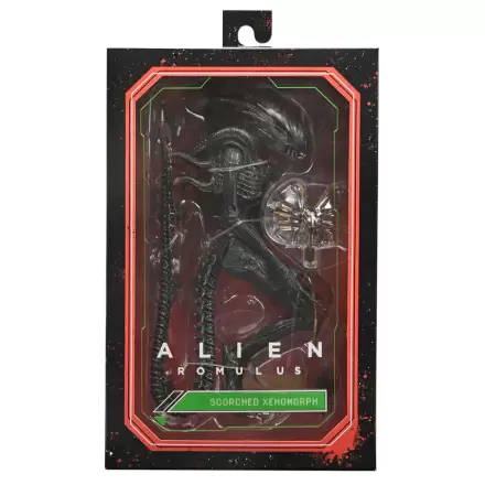 Alien Romulus Scorched Xnomorph Ultimate figurka 23 cm termékfotója