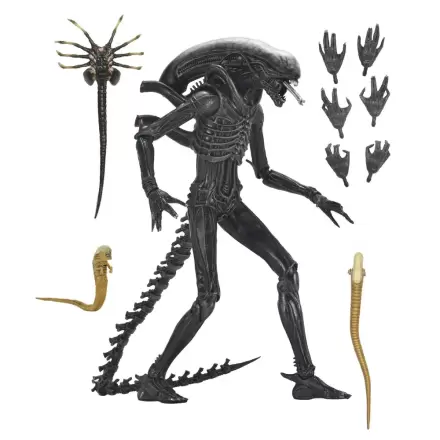 Alien: Romulus Xenomorph Ultimate figurka 18 cm fotografii produktu
