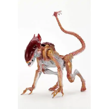 Aliens akční figurka Panther Alien (Kenner Tribute) 23 cm termékfotója