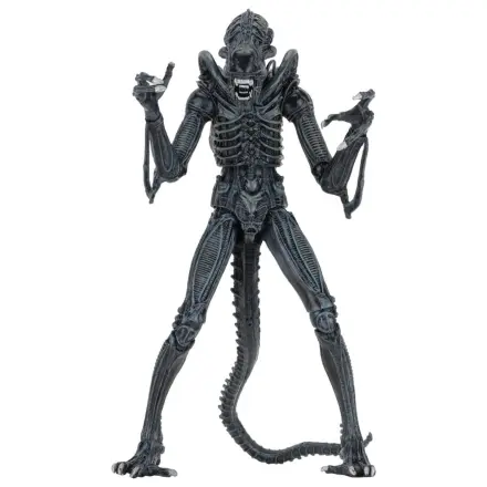 Aliens Ultimate Akční figurka Warrior (1986) Blue 23 cm fotografii produktu