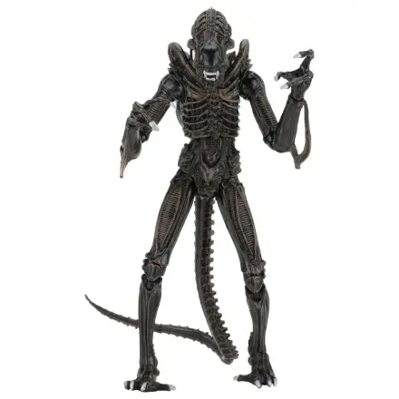 Aliens Ultimate Action Figure Warrior (1986) Hnědá 23 cm fotografii produktu