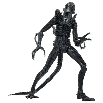 Aliens Ultimate Akční figurka Warrior (1986) Xenomorph Black (40th Anniversary) 23 cm fotografii produktu