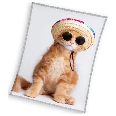 Cool Kitty Cat fleecová deka fotografii produktu