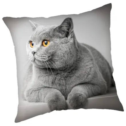 Kočky Šedý povlak na polštář fotografii produktu