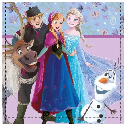 Disney Frozen Friends Forever ručník na ruce a obličej, ručník 30x30cm fotografii produktu