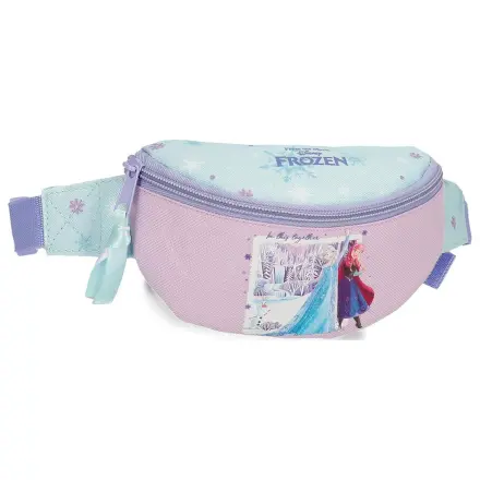 Disney Frozen In This Together ledvinka fotografii produktu