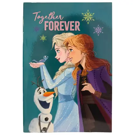 Disney Frozen Together B/5 linkovaný zápisník 40 stran fotografii produktu