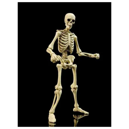 Epic H.A.C.K.S. akční figurka 1/12 Kostra Prázdná Klasická Kost fotografii produktu