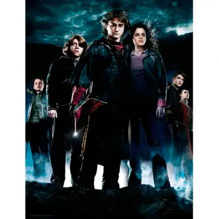 Harry Potter Group glass poster / Skleněný plakát fotografii produktu