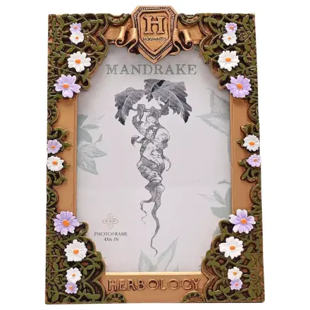 Harry Potter Herbology 3D Fotorámeček fotografii produktu