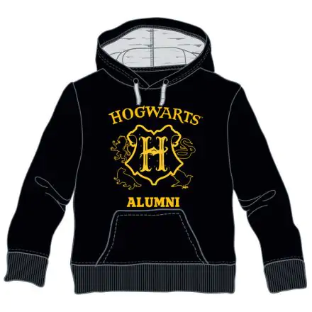 Dětská mikina s kapucí Harry Potter Hogwarts Alumni termékfotója