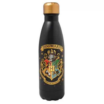 Harry Potter Hogwarts Nerezová láhev 500 ml termékfotója