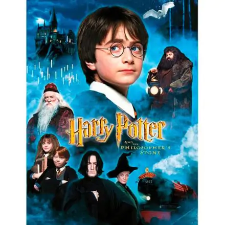 Harry Potter Philosophers Stone skleněný plakát fotografii produktu
