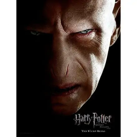 Harry Potter Voldemort Face skleněný plakát fotografii produktu
