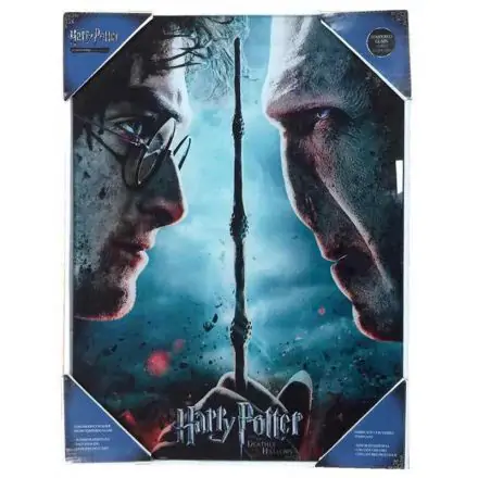 Harry Potter vs Voldemort skleněný plakát fotografii produktu