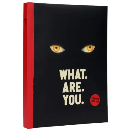 It Zápisník se světlem Co jsi zač fotografii produktu