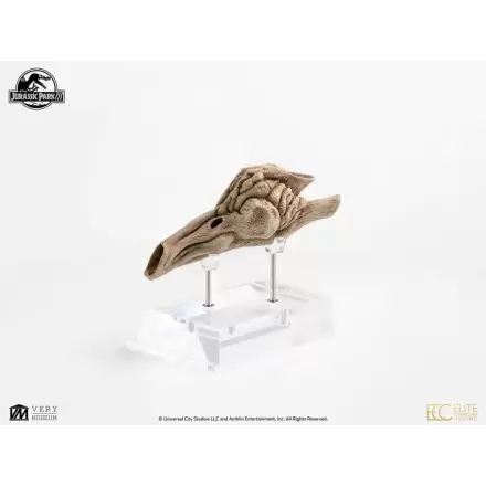 Jurassic Park III Prop Replica 1/1 Velociraptor rezonanční komora 18 cm fotografii produktu