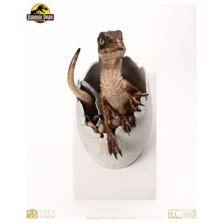 Jurassic Park Replika busty líhnoucí se vejce Velociraptora 24 cm fotografii produktu