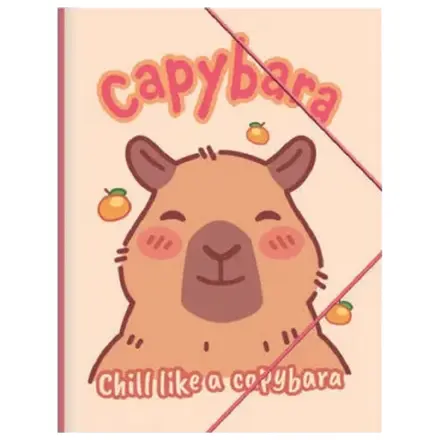 Capybara Happy Life A/4 Elastická složka fotografii produktu