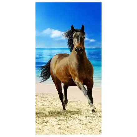 Rider plážová osuška 70x140cm fotografii produktu