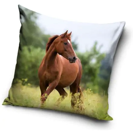 Povlak na polštář Horse Riding 40*40 cm fotografii produktu