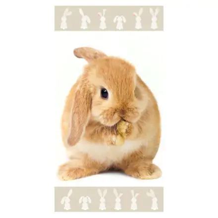 Bunny osuška, plážová osuška 70*140 cm fotografii produktu