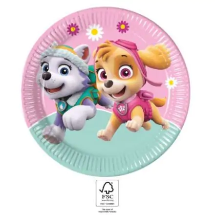 Paw Patrol Skye a Everest papírové talíře 8 ks 23 cm FSC fotografii produktu