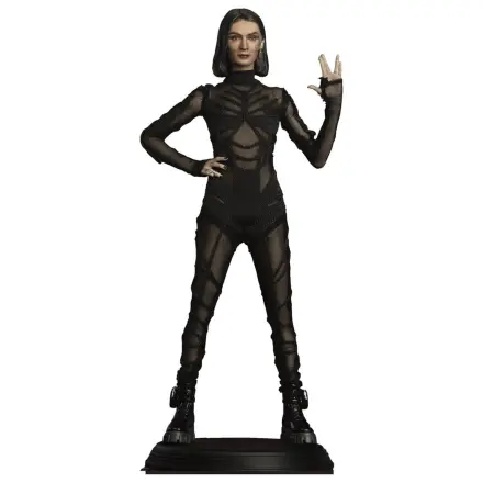 Star Trek: Strange New Worlds Mixed Media figurka 1/6 Captain Angel 28 cm fotografii produktu