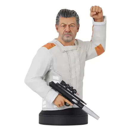 Star Wars: Andor Bust 1/6 Kina Loy 16 cm Soška termékfotója