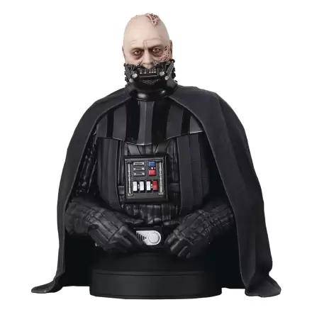 Star Wars Episode VI Busta 1/6 Darth Vader (bez helmy) 15 cm fotografii produktu